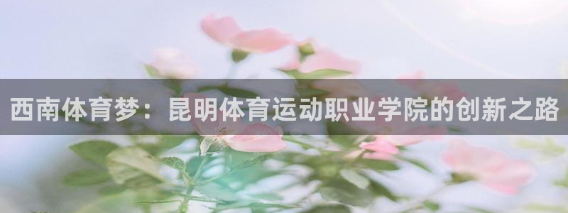 乐视体育女主持 足球：西南体育梦：昆明体育运动职业学院的创新之路