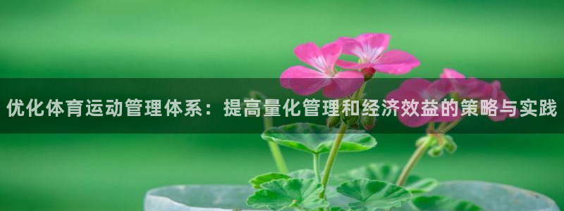 乐视体育还在运营吗：优化体育运动管理体系：提高量化管理和经济效益的策略与实践