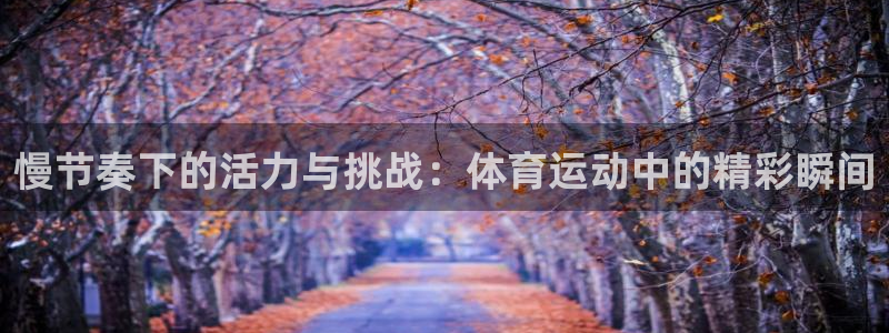 乐视体育超级会员：慢节奏下的活力与挑战：体育运动中的精彩瞬间