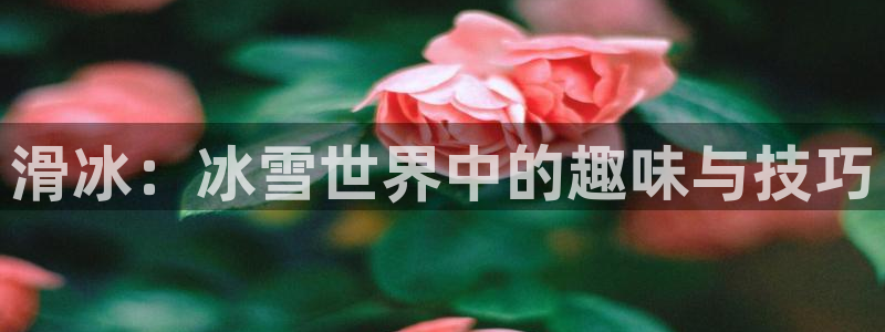 乐视体育无插件直播：滑冰：冰雪世界中的趣味与技巧