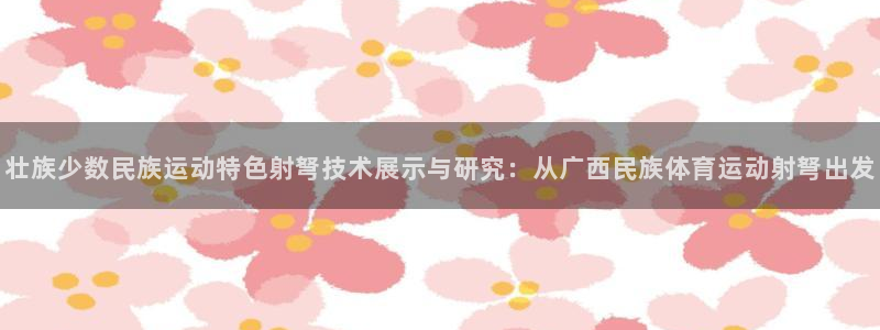 乐视体育没了：壮族少数民族运动特色射弩技术展示与研究：从广西民族体育运动射弩出发