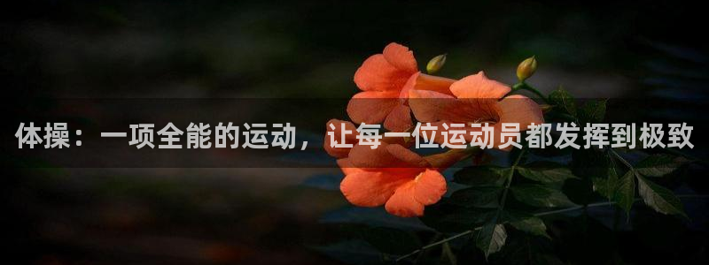 乐视体育CBA集锦：体操：一项全能的运动，让每一位运动员都发挥到极致