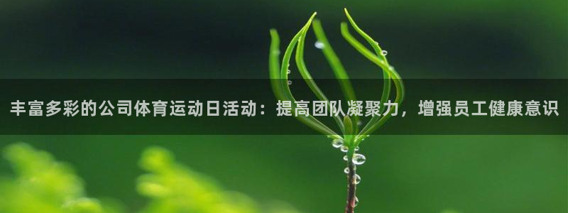 乐视体育高清在线直播观看免费：丰富多彩的公司体育运动日活动：提高团队凝聚力，增强员工健康意识