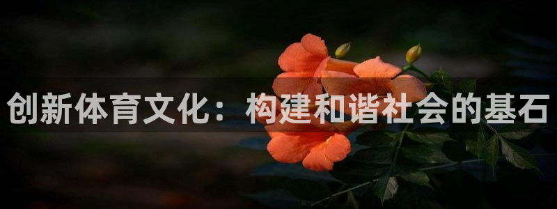 乐视体育现状：创新体育文化：构建和谐社会的基石